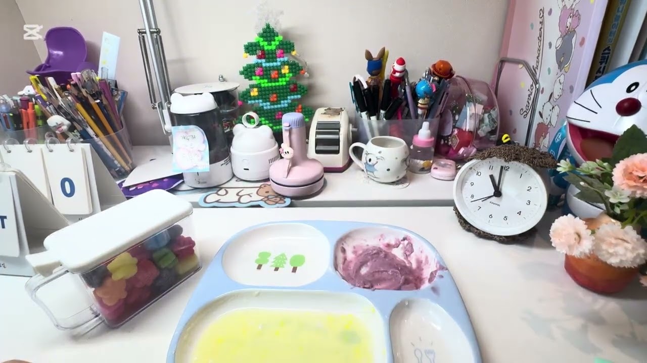 통통이 쌍둥이가 우리 집에 왔당