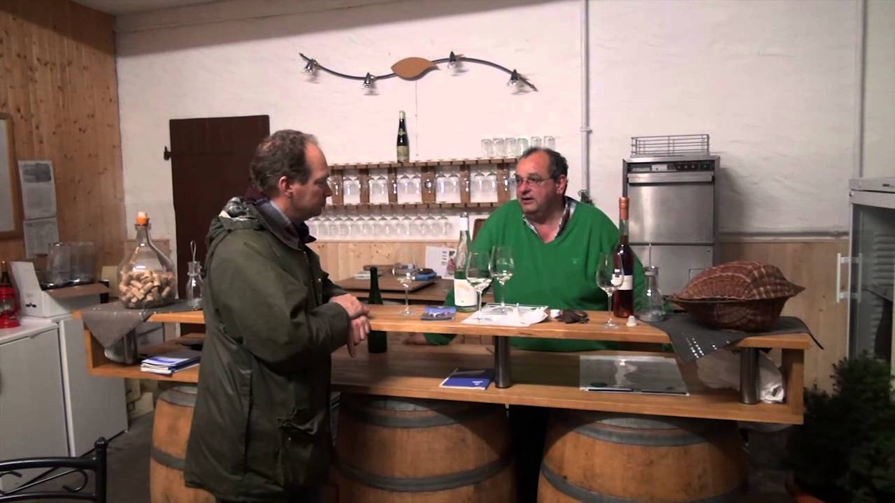 Weingut Martin Schömann, Weinlese 2013