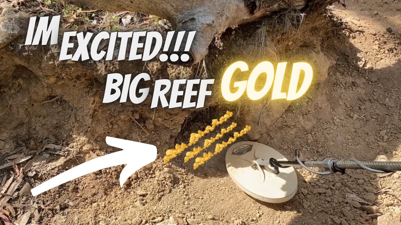 A great late afternoon Gold Reef detecting session.