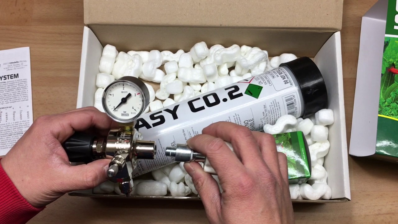 Acquario co2  recensione e unboxing easy co2 prodac