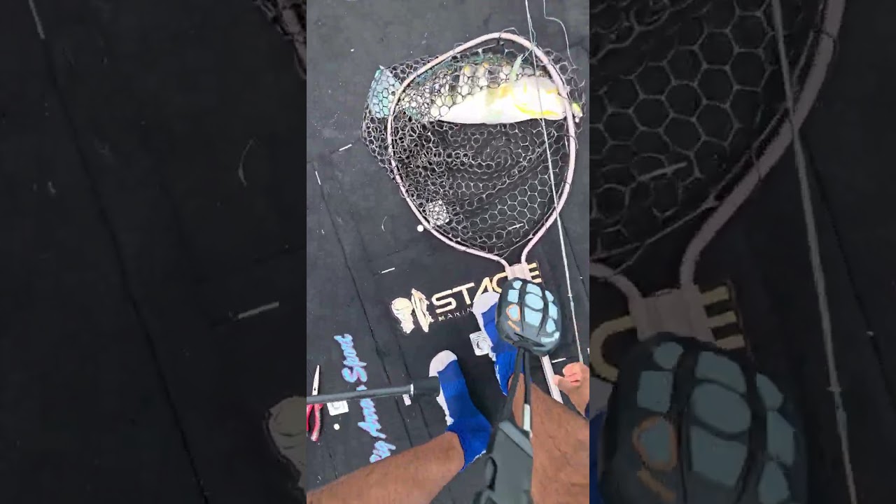 Pescaria de tucunaré azul na represa de Três Marias. #pescaria #pesca #fish 