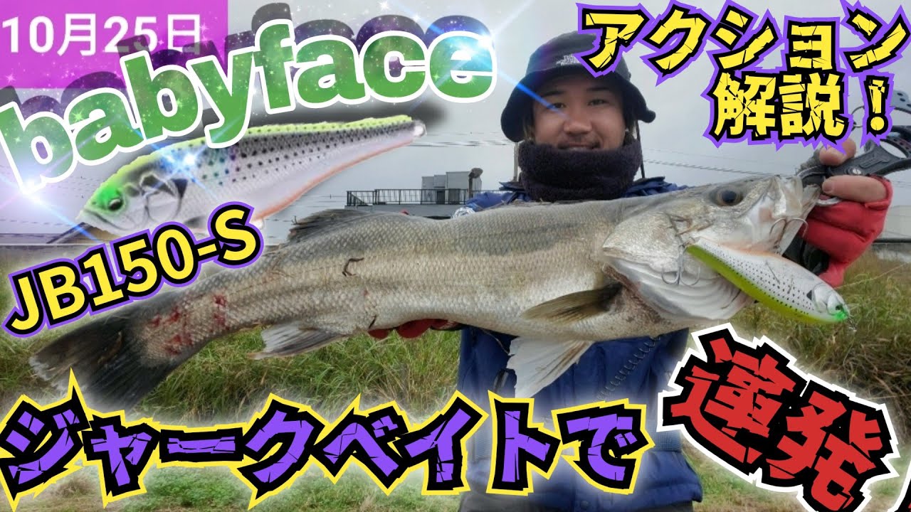【秋熱】湾奥シーバス！ 一枚下を狙う！ジャークベイトでコノシロパターンを釣る！  #babyface  #東京湾シーバス #ベイトシーバス #秋爆シーバス #jb150-s