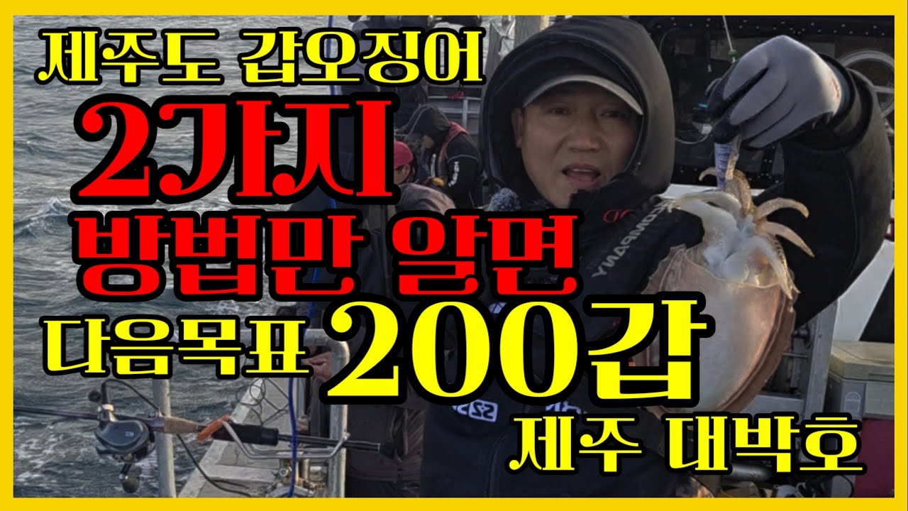 제주갑오징어 다음목표 200마리