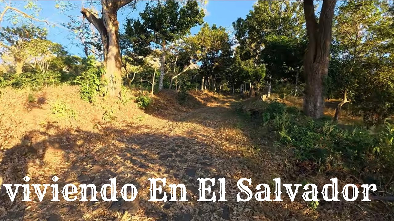 Viviendo En El Salvador por 4 meses?
