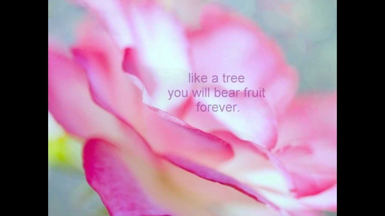 Rumi ~ My Heart