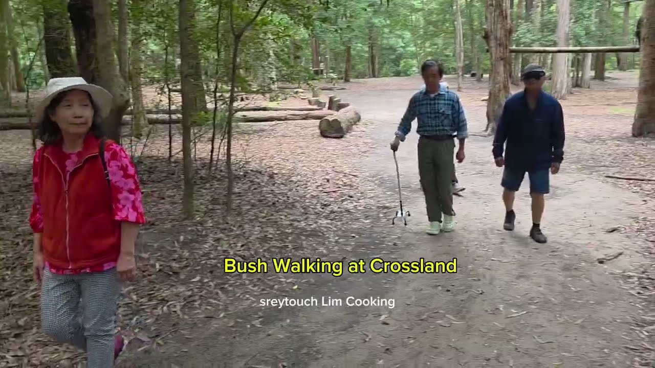 Day3 Bush Walking at Crossland Camping site .  នាំគ្នាដើរហាត់ប្រាណនៅក្នុងព្រៃដែលស្ងប់ស្ងាត់.