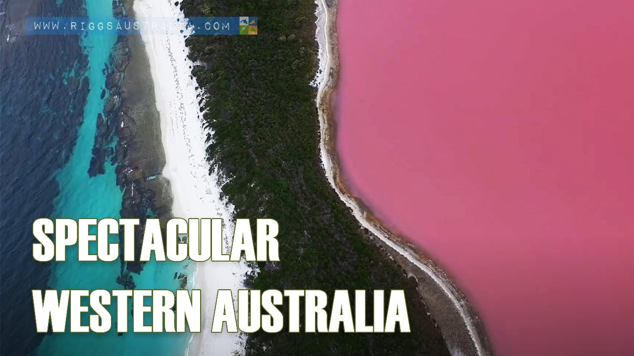 Spectacular Western Australian Wildlife and Scenery