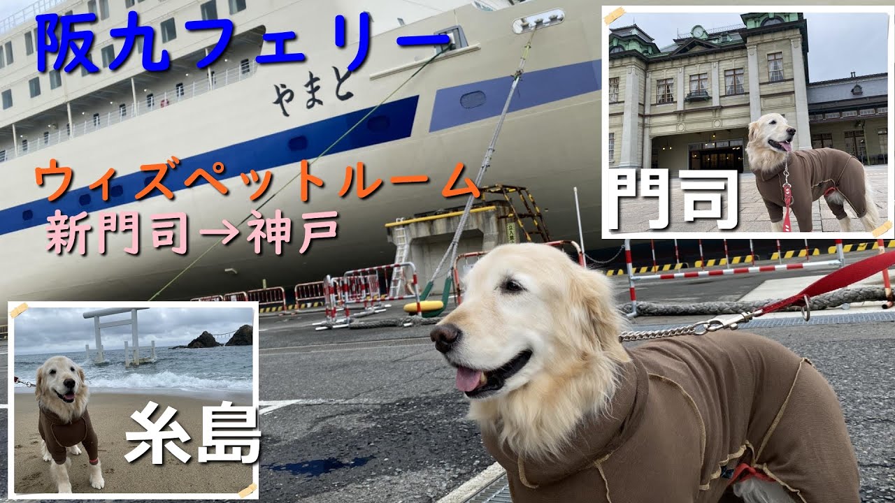 【愛犬と九州】復路も阪九フェリーのウィズペットルーム、糸島門司観光して帰りました