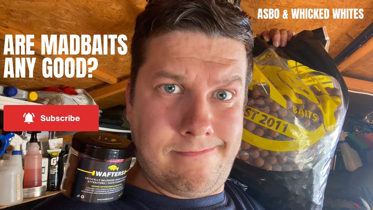 Madbaits Review