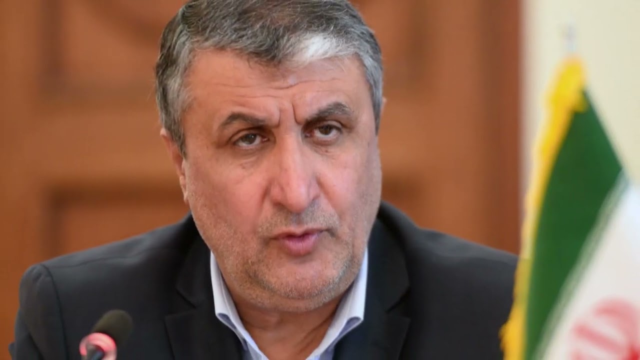 Iran's Atomic Energy Head Commits to Unimpeded IAEA Monitoring of Nuclear Sites