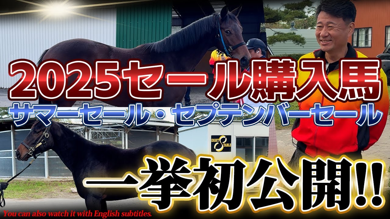 「2025セール購入馬紹介」サマーセール・セプテンバーセールで購入した1歳馬を一挙初公開!!【ベラジオch】