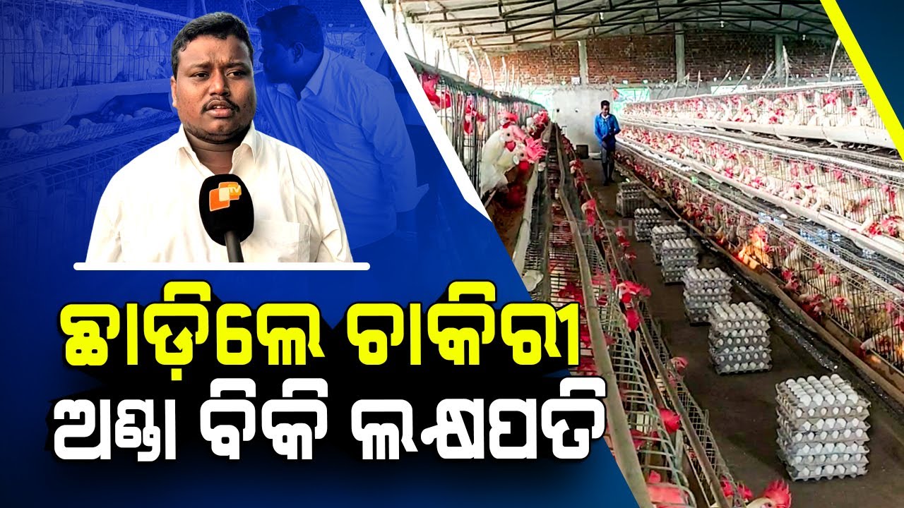 Special Story | Watch- Engineer turns poultry farmer in Odisha