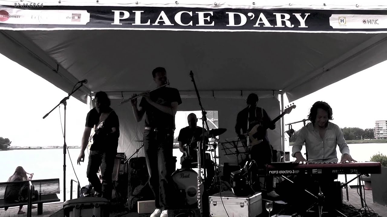 HAN LITZ GROUP-THE CHICKEN @ PLACE D' ARY 03-08-2014 DORDRECHT (using a panasonic HC-V720)