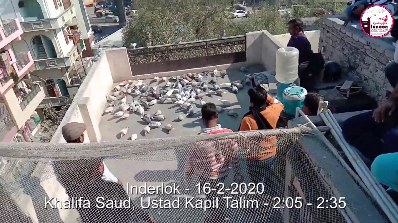 Ustad Kapil Win Pigeon Race V/s Ustad Akhtar, Inderlok, 16-2-2020