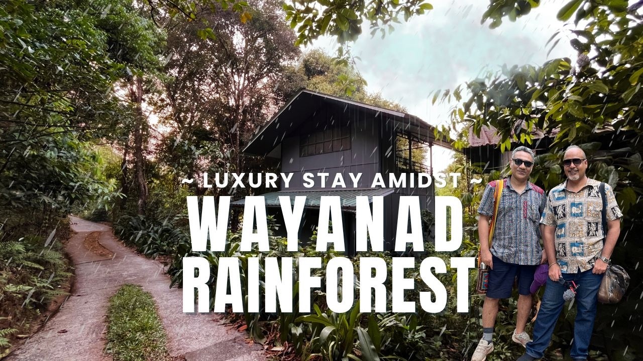 Luxury Stay in Wayanad’s Rainforest | Wayanad Wild CGH Earth Hotel Stay experience +Top Activities