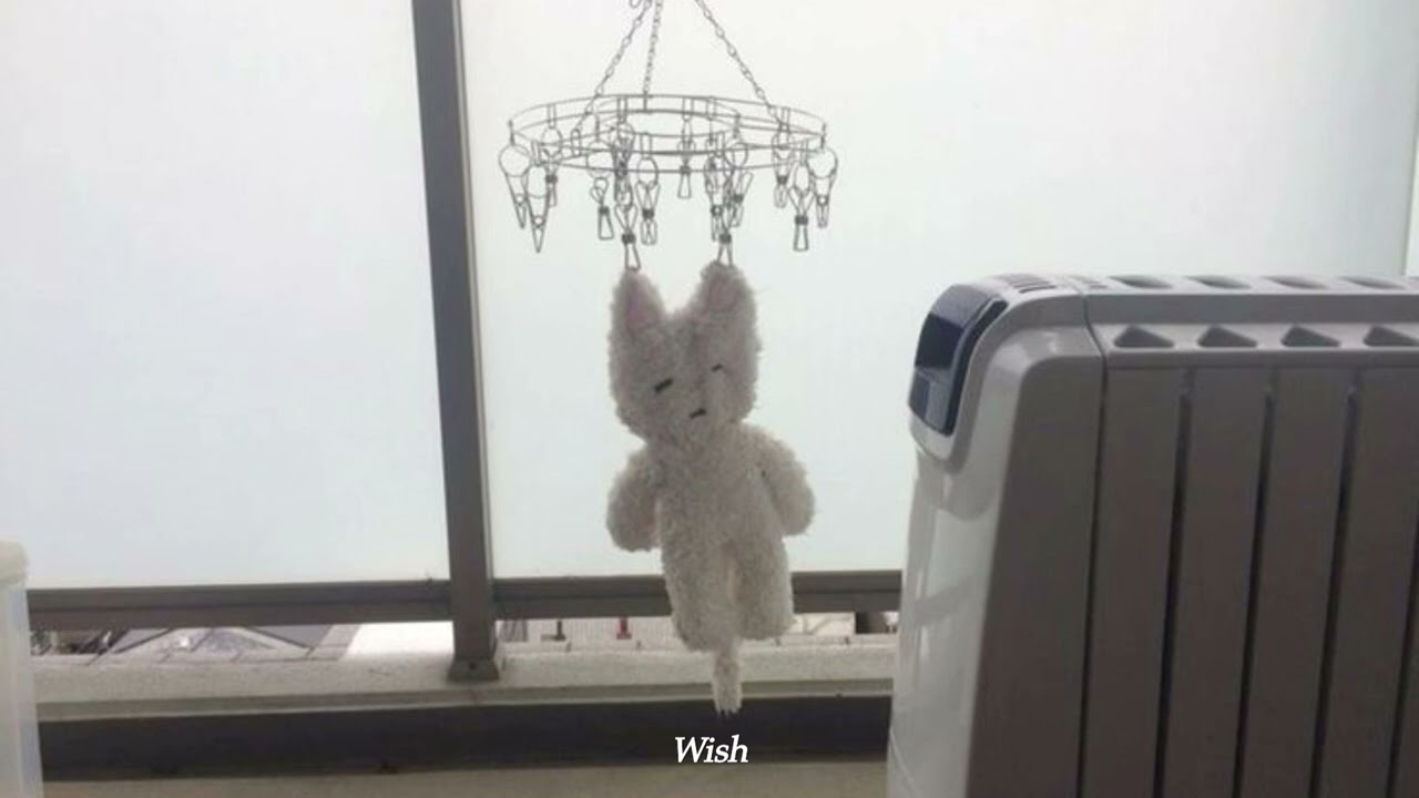 [𝐩𝐥𝐚𝐲𝐥𝐢𝐬𝐭] 여름의 꽃말은 지나간 청춘| 오월오일⋆윤마치⋆나상현씨밴드