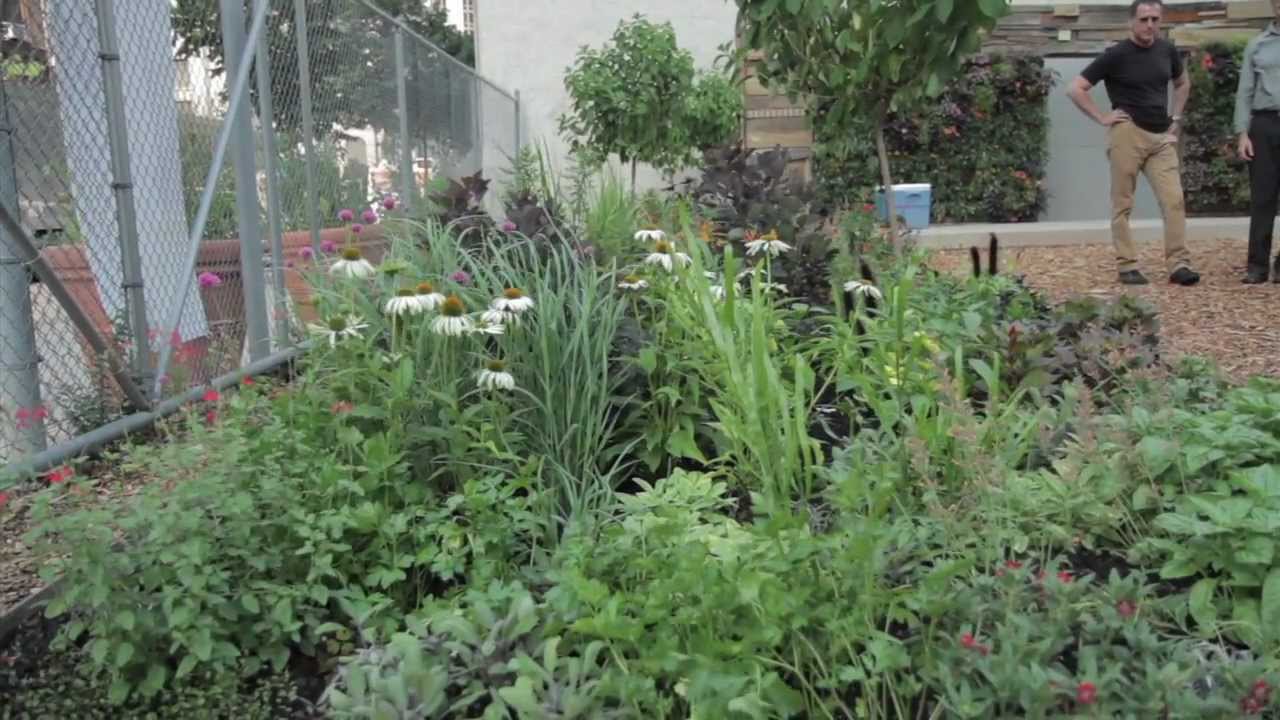 Touring Philly's pop-up garden