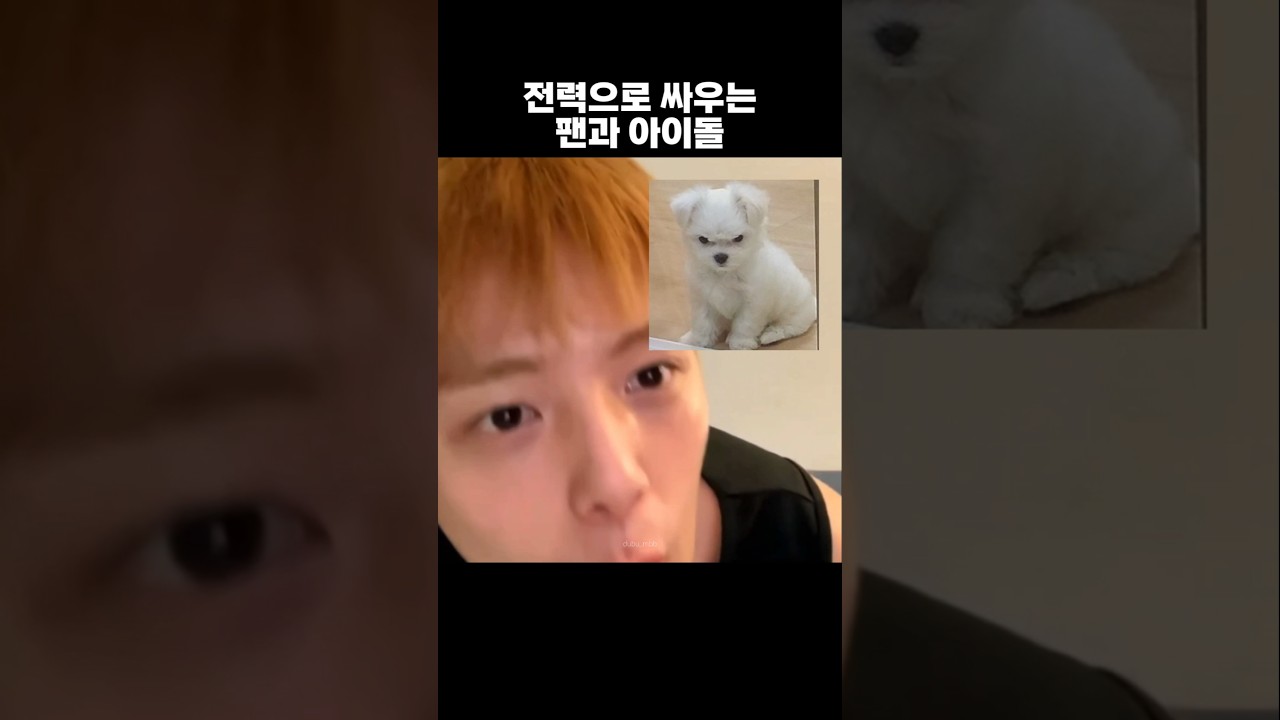 걱정마세요 진짜 싸우는겁니다 #몬스타엑스 #민혁