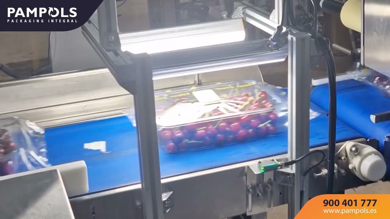 ETIQUETADO | Solución de verificación para mejorar el etiquetado en la línea de producción