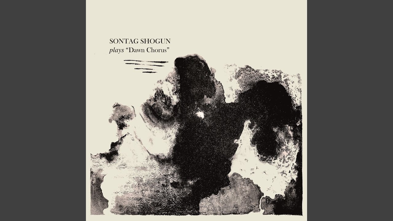 Dawn Chorus (Instrumental)