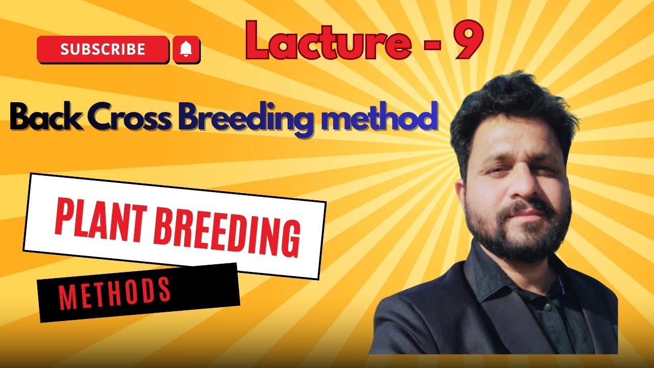 Backcross Method in Plant Breeding | Dominant & Recessive Gene Transfer |