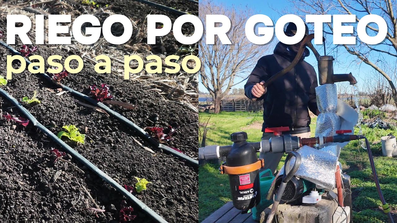 Cómo regar sin esfuerzo | Sistema de riego por goteo explicado paso a paso