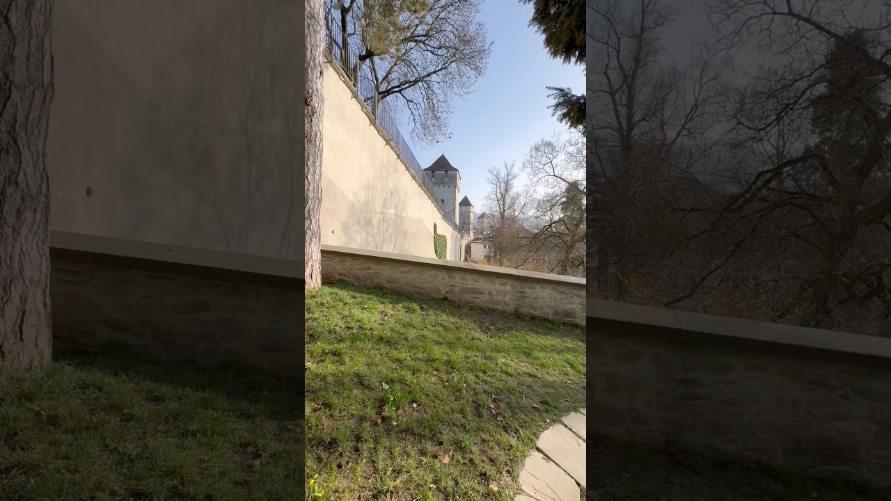 🌿 A Secret Path Above Lucerne 🏛️  Секретная тропинка над городом ❤️ #люцерн #швейцария #шортс