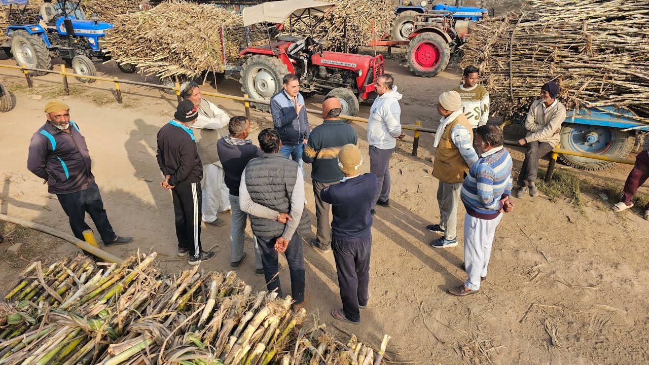 आज पहुंचे आईपीएल के सकौती शुगर मिल में HoD केन गन्ना किसानों को दिया जा रहा है  इनाम