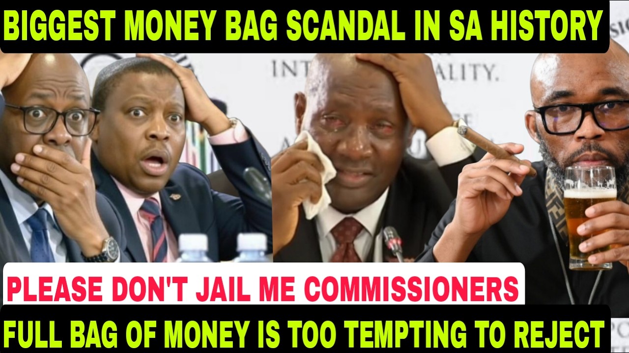 A BAG FULL OF MONEY IS TOO TEMPTING FOR ANYONE TO REJECT - Madlanga Caught Shibiri Red Handed