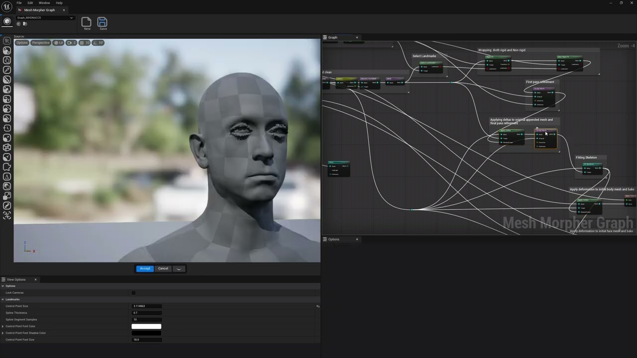 Файлы Mesh Morpher Graph и ДНК MetaHuman