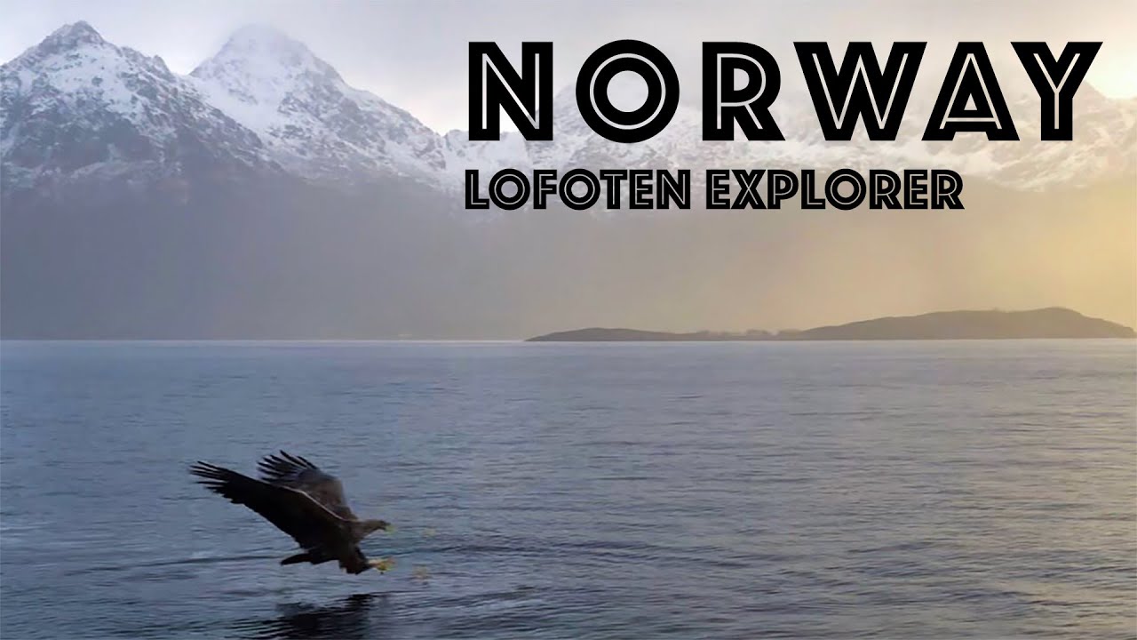 [NORWAY] Lofoten Explorer e Aquile di mare a Trollfjord