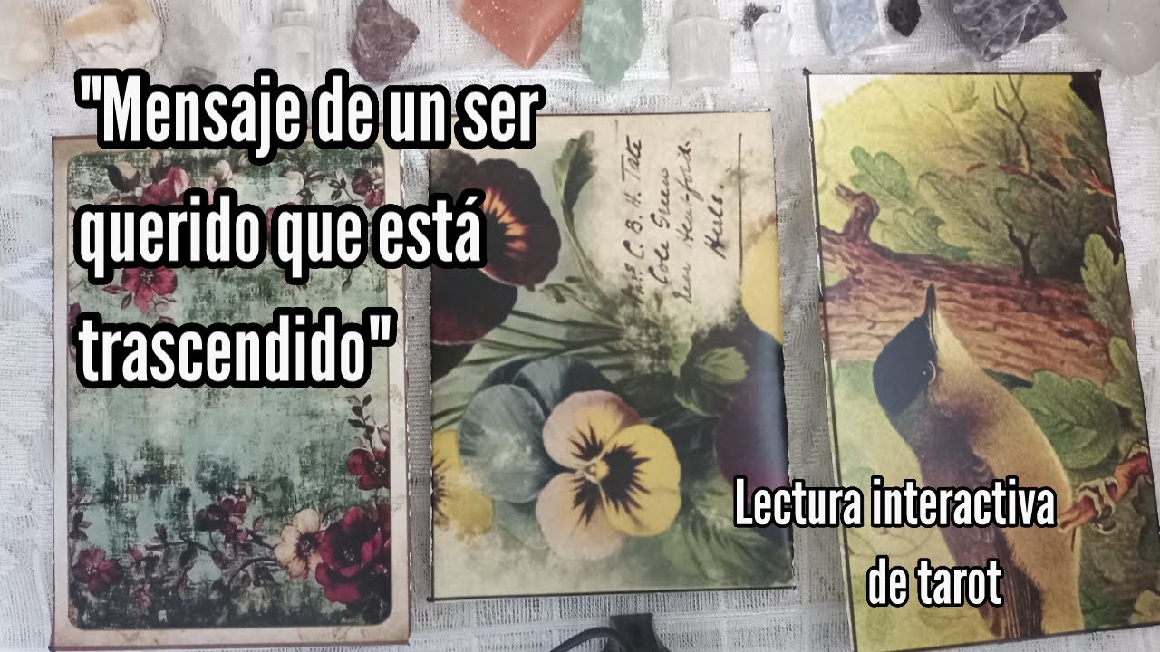 Mensaje de un ser querido ya trascendió Lectura interactiva. #lecturainteractiva #tarot #tarotreader