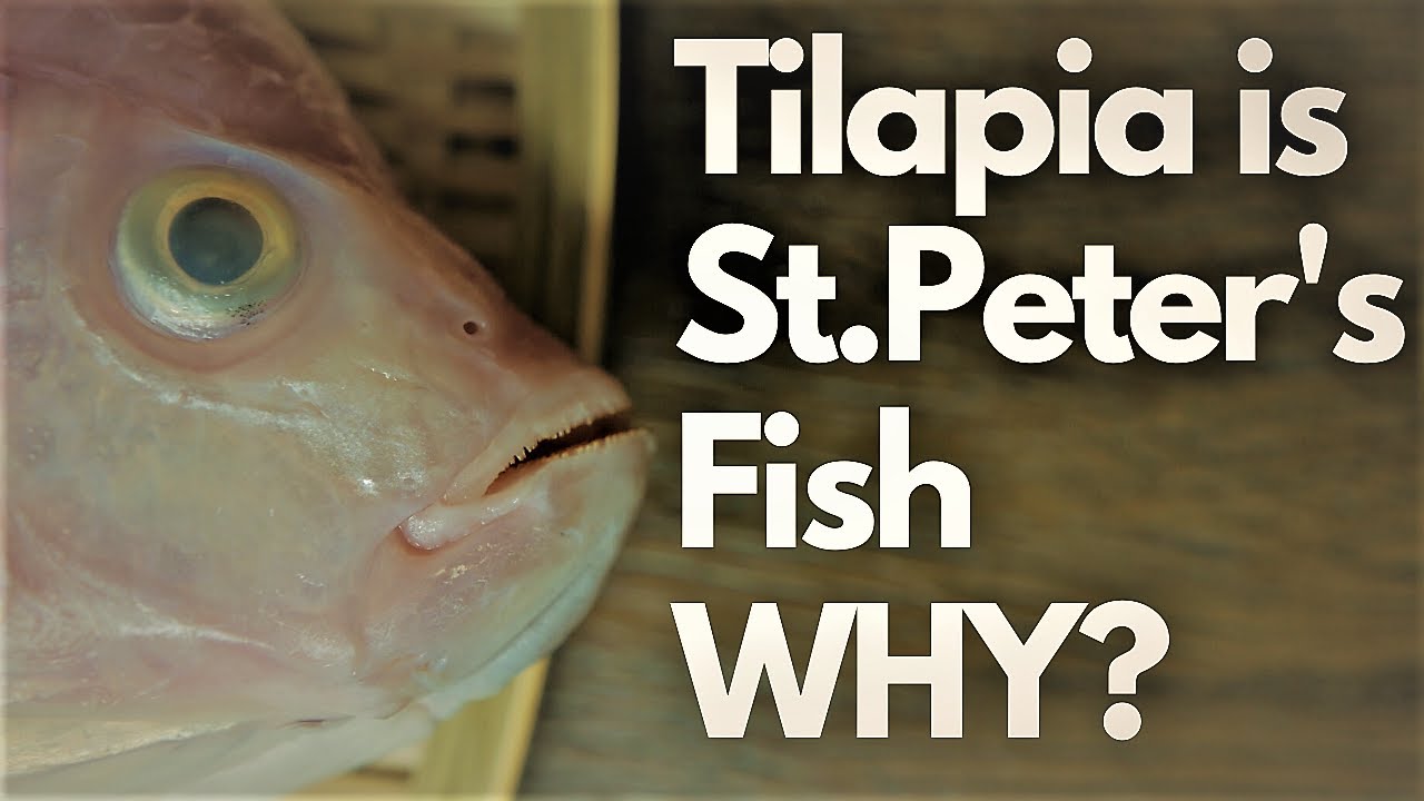Why Tilapia is Saint Peter's Fish -- Resurrection -- Fish Recipe
