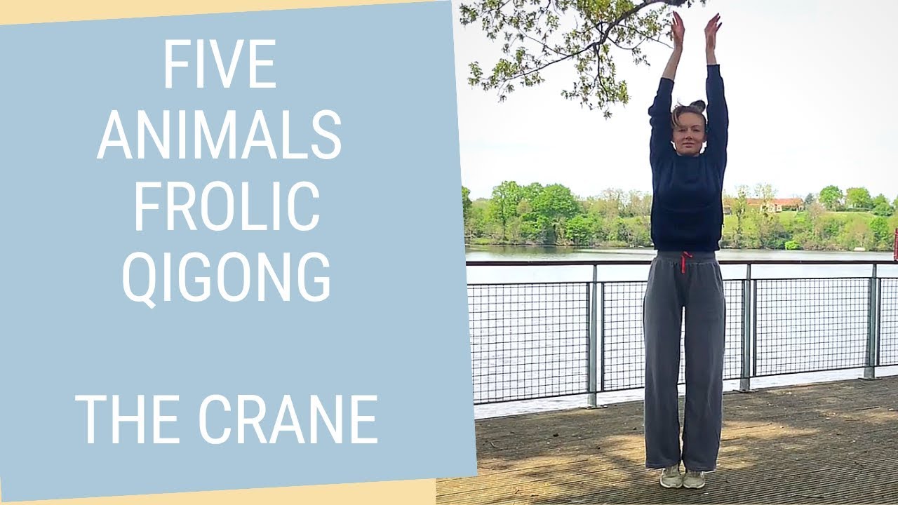 The White Crane Movement - Qigong Five Animals Frolic