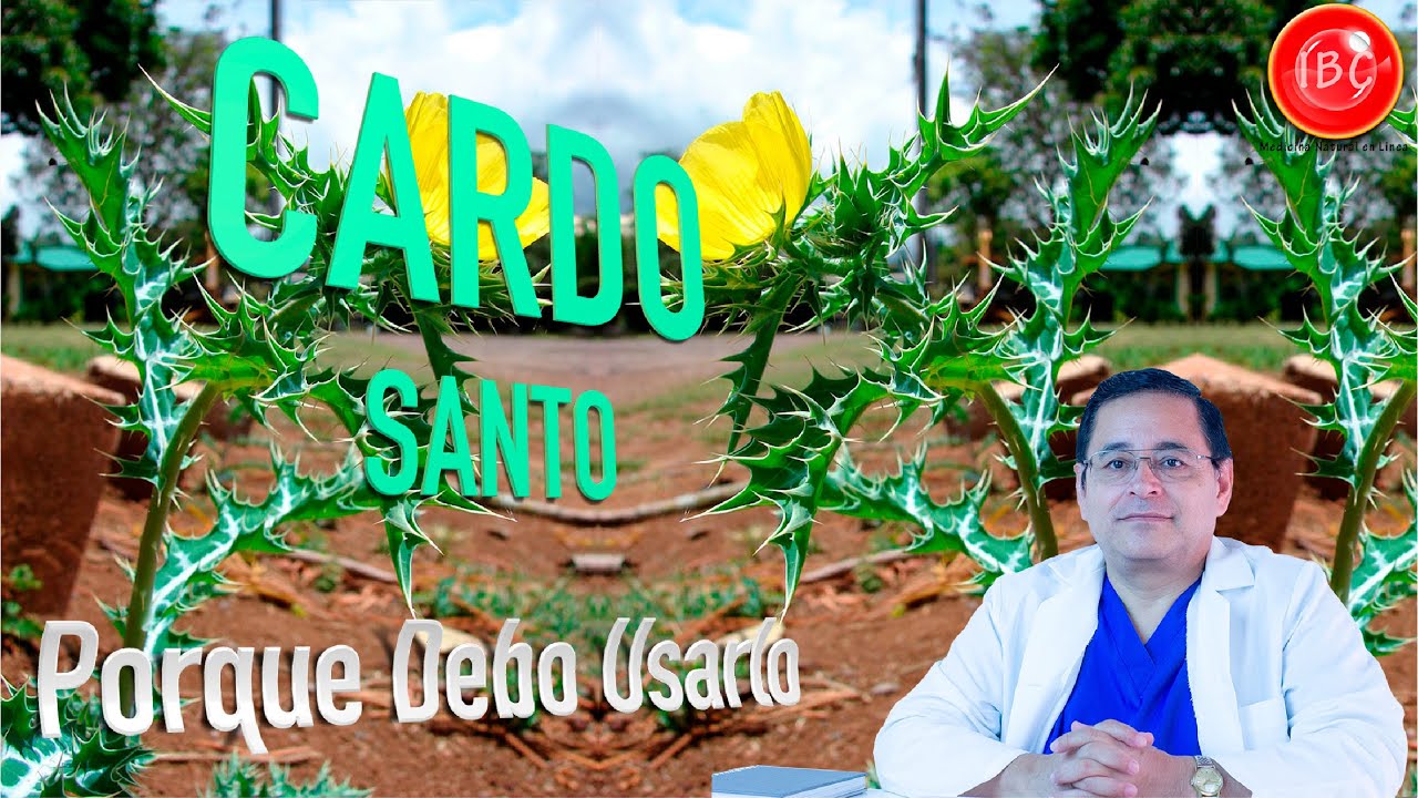Cardo Santo Porque debo Consumirlo?