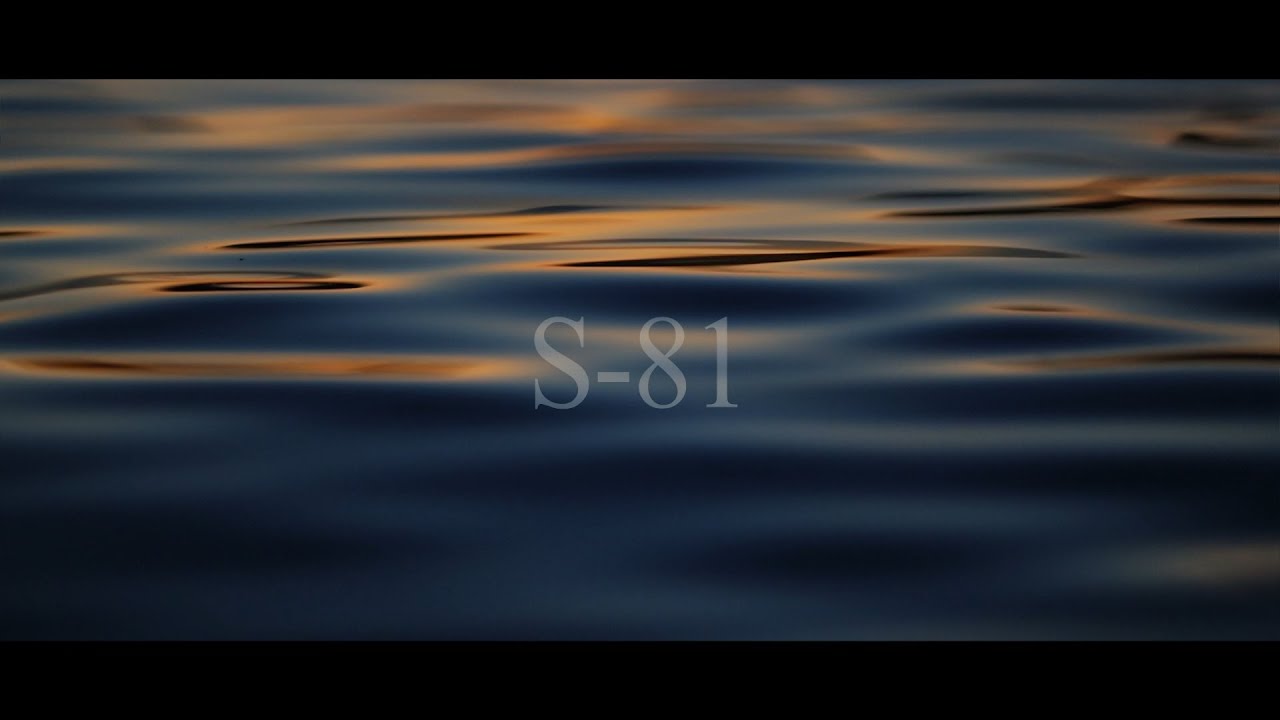 S-81 