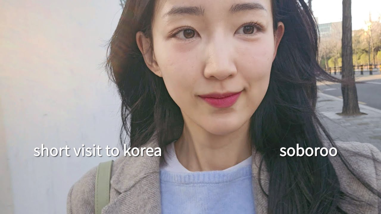 짧은 한국 방문 A short visit to Korea