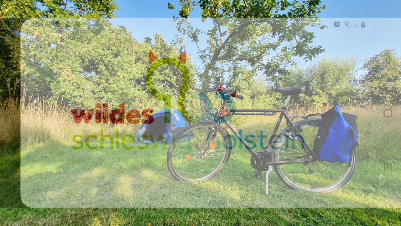 Wildes SH Schleswig-Holstein Wildcampen: 04 Drage - Friedrichstadt (Obstbaumwiese) Nordfriesland