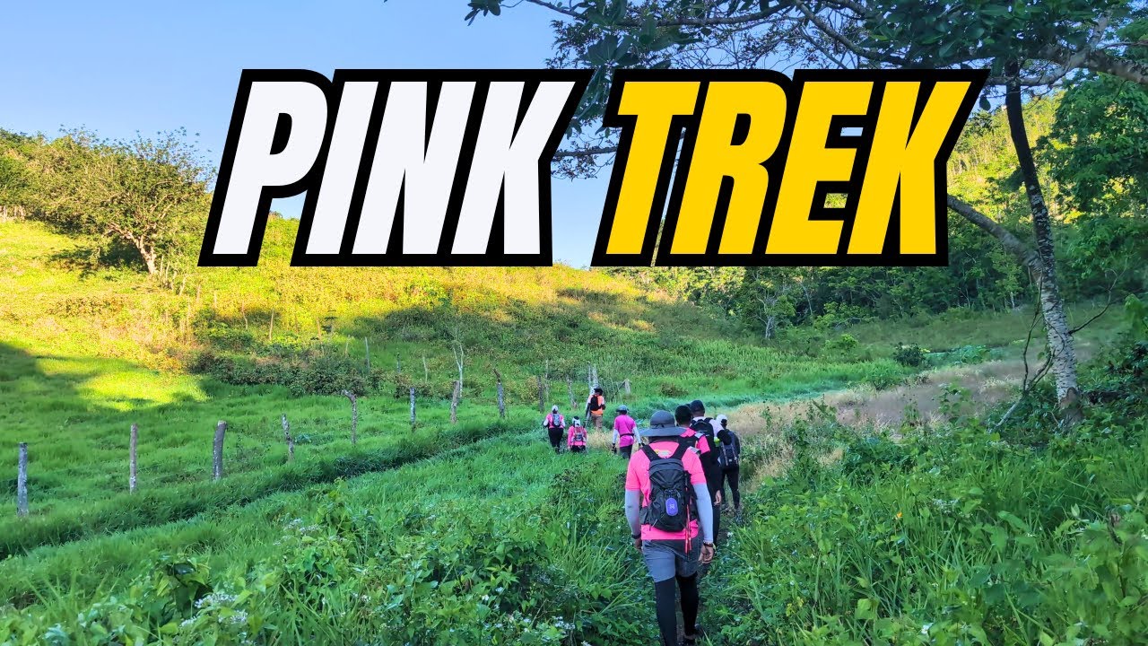 I Didn't Expect This on the Pink Trek in Jamaica 🌸