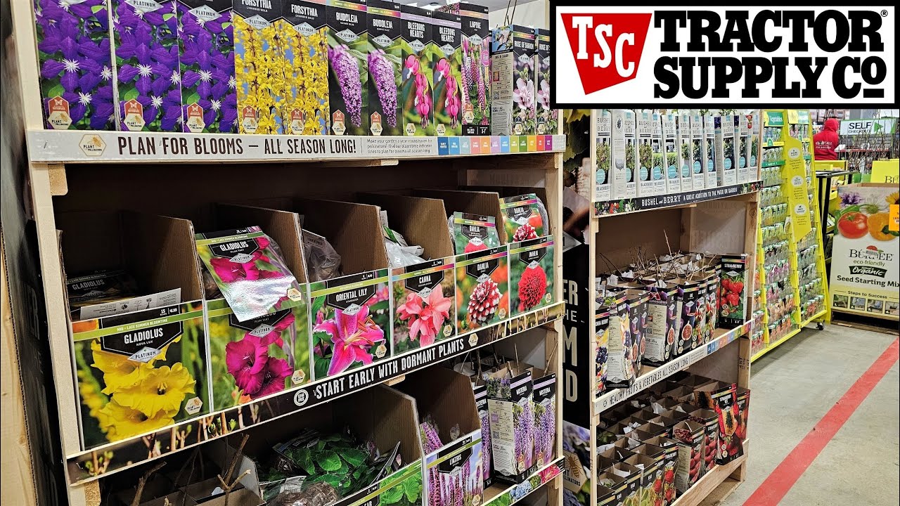 Tractor Supply Inventory February 2023 Summer Bulbs, Bare Root Perennial Flowers Shrubs, Fruit Trees