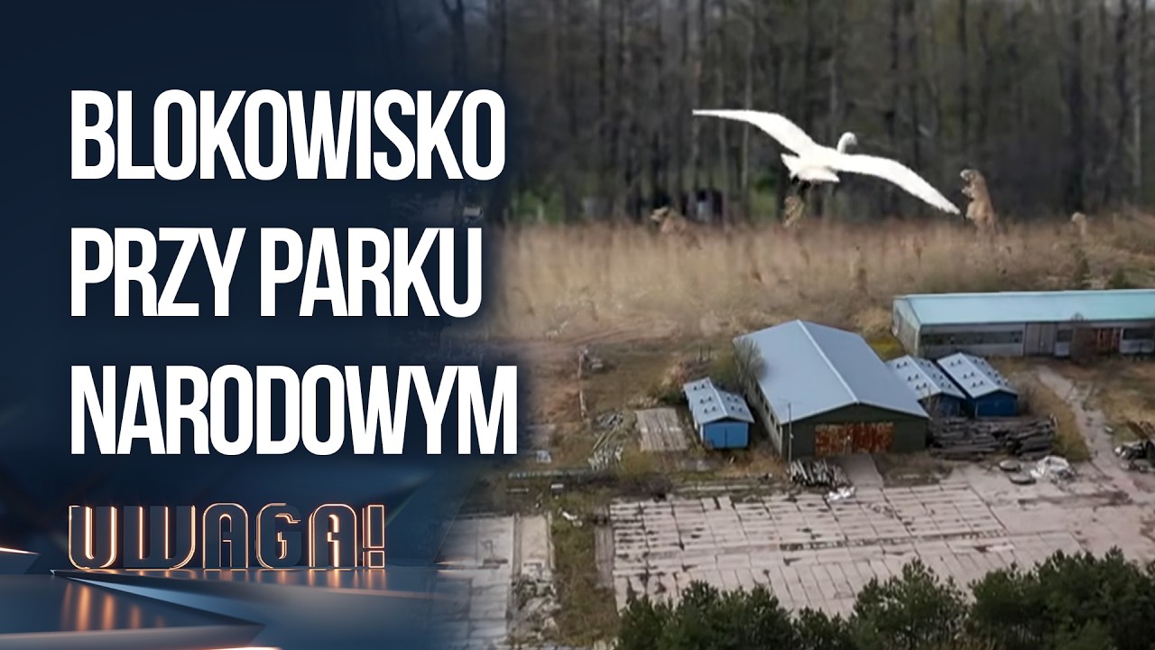 Blokowisko tuż przy Wigierskim Parku Narodowym? MIESZKAŃCY NIC NIE WIEDZIELI | UWAGA! TVN
