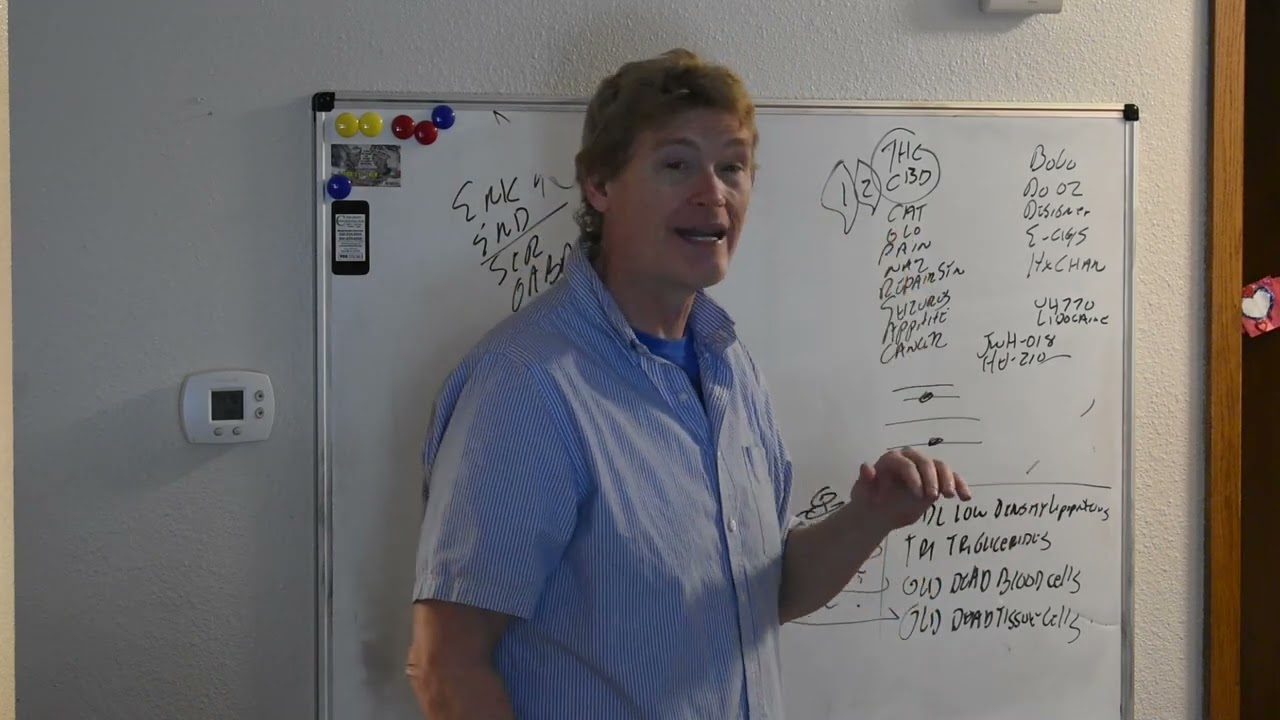 Substance Use Prevention Part 3