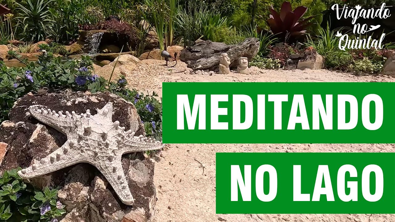 NOSSO LAGO DE CARPAS NO QUINTAL DE FLORES