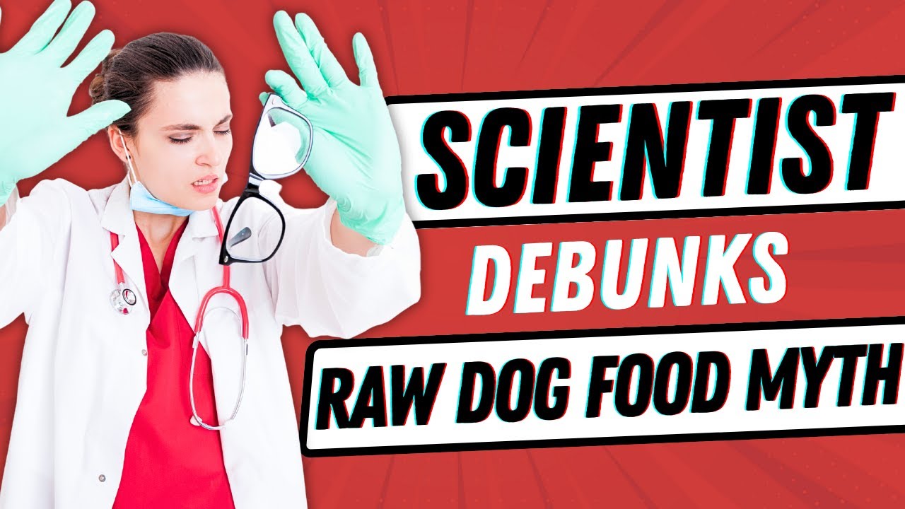 The FINAL Say on Raw Dog Food from Veterinary Scientist