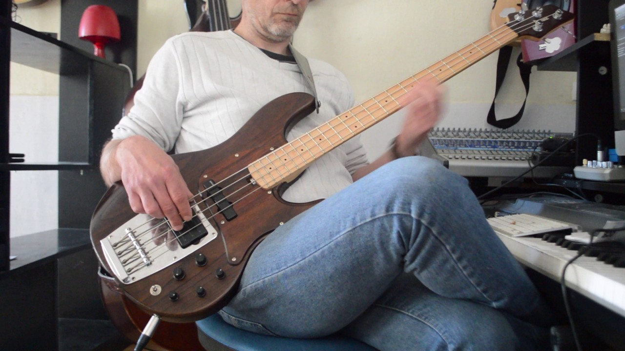 Look Around RHCP bass cover -  tab and score - ATK 804 premium