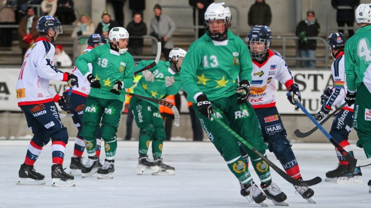 «Hammarby IF»-«Edsbyns IF» 31 Jan  Elitserien 2025/2026