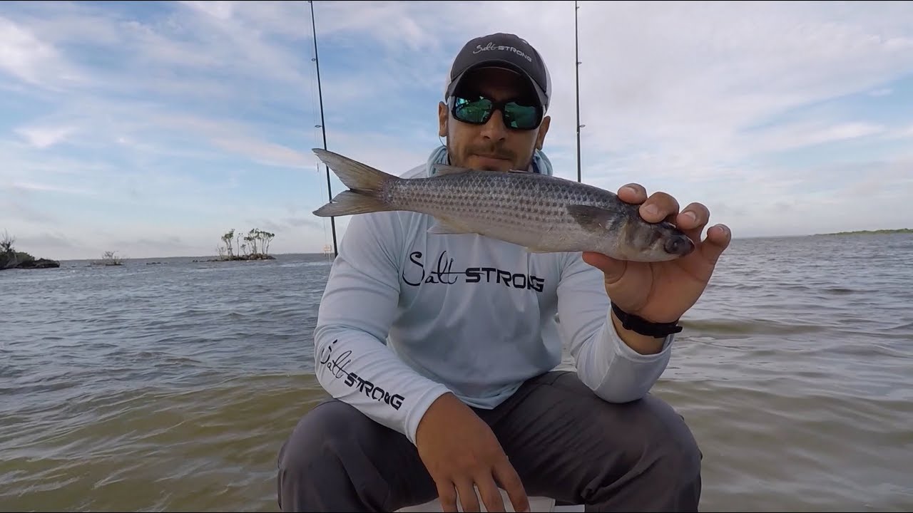 Cut Bait Tips For Catching Redfish