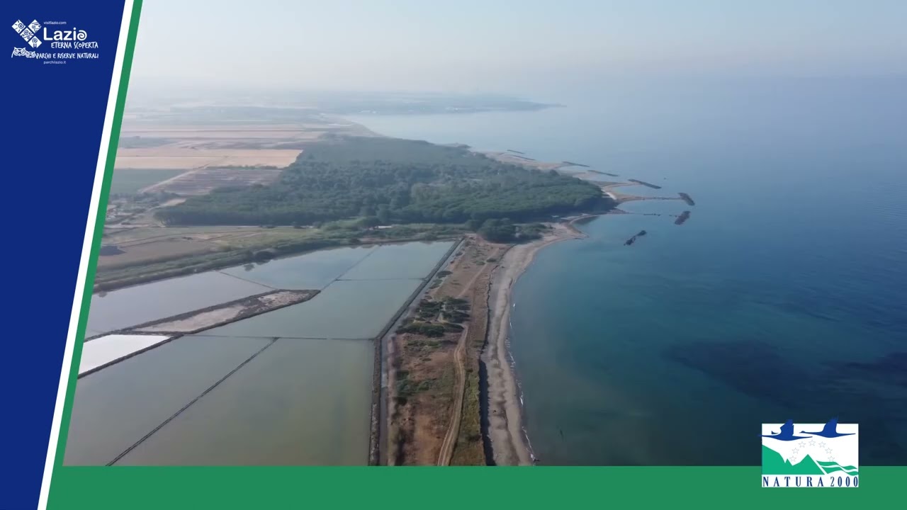 Le garzaie nella Regione Lazio, scopri con noi la biodiversità della Rete Natura 2000