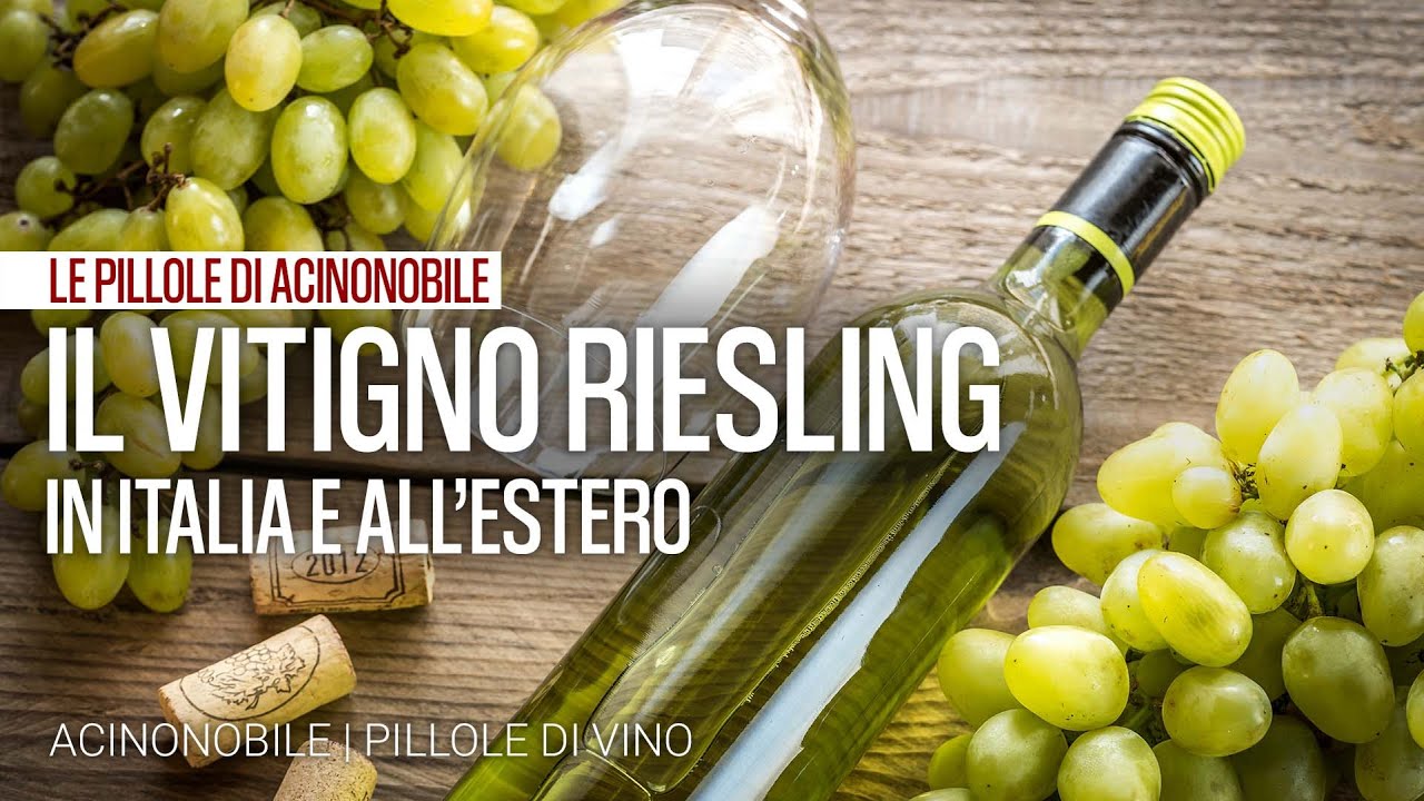 Il vitigno Riesling in Italia e all'estero