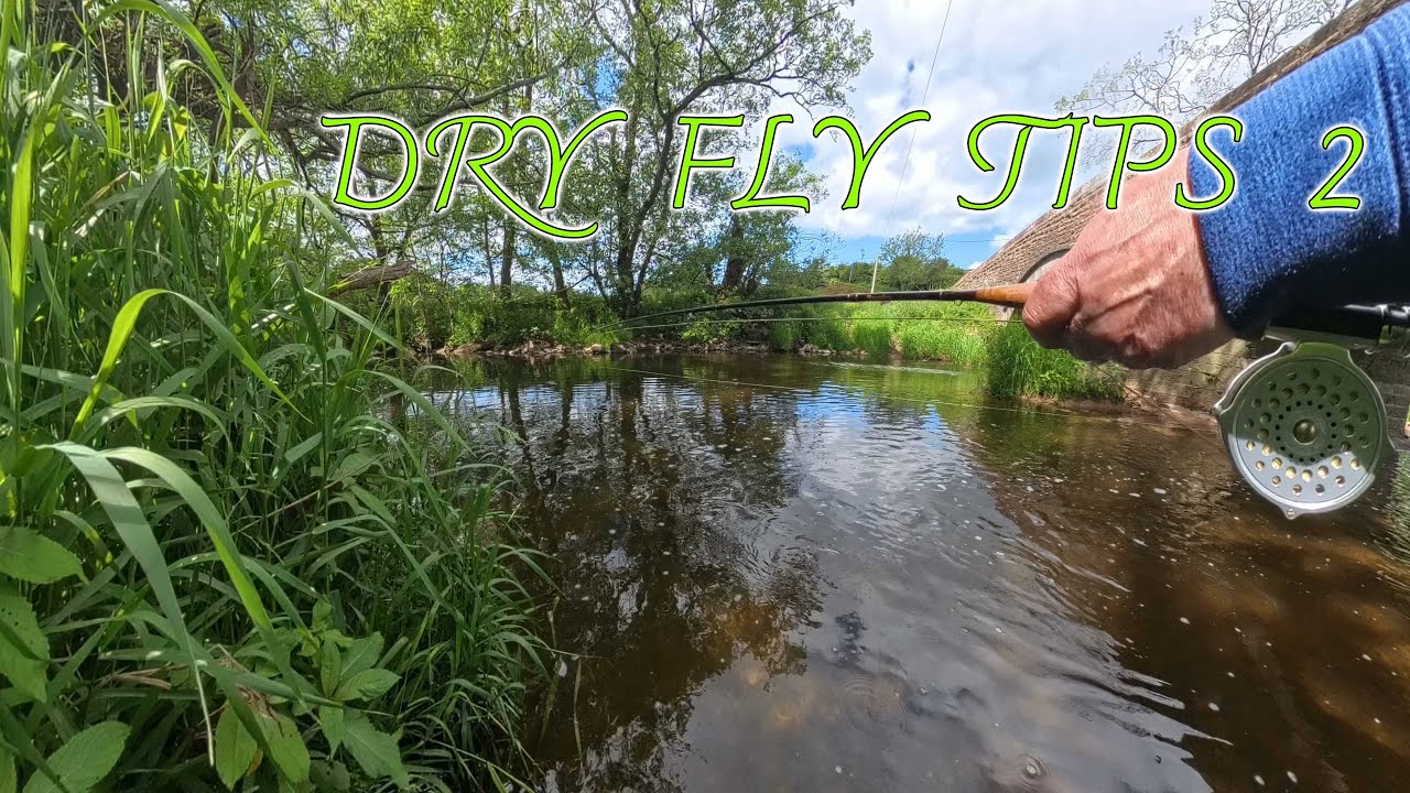 DRY FLY 2